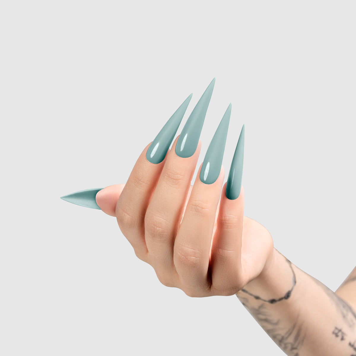 Chaun Legend LG5171 What's The Teal color example