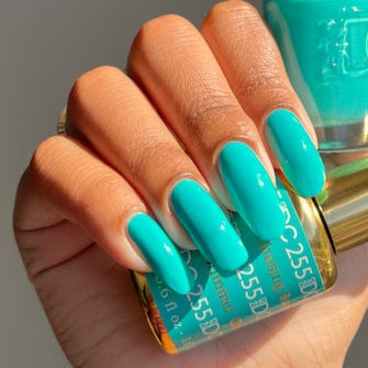 DND DC Premium set Gel Color Matching Polish Color - Chasing Summer #255